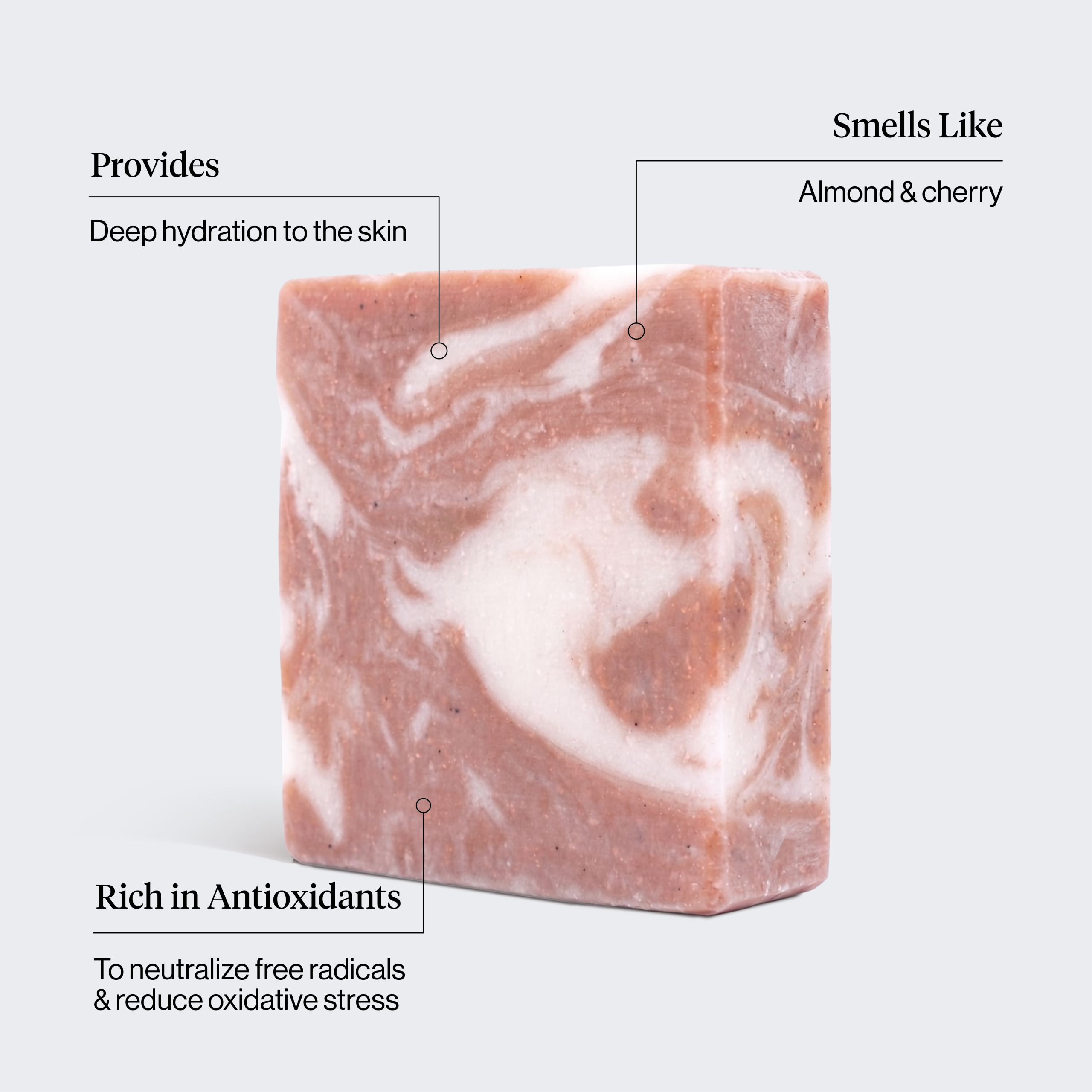 ⭐ Top Rated | Shea Butter Exfoliating Body Wash - Fast Delivery - Image 3